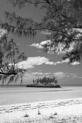 Gaulding Cay Island BW Black Ornate Wood Framed Art Print with Double Matting by Malvin, Larry