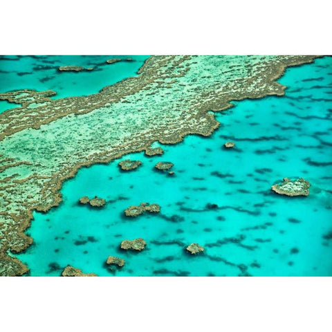 Great Barrier Reef I Black Modern Wood Framed Art Print with Double Matting by Malvin, Larry