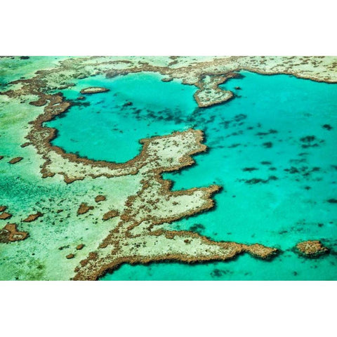 Great Barrier Reef III Black Modern Wood Framed Art Print with Double Matting by Malvin, Larry