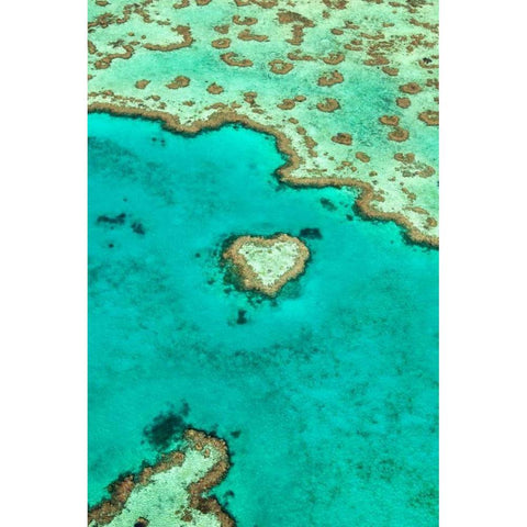 Heart Reef I White Modern Wood Framed Art Print by Malvin, Larry