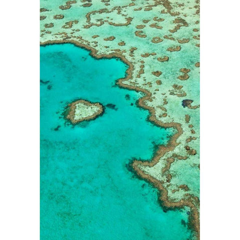 Heart Reef II Black Modern Wood Framed Art Print by Malvin, Larry