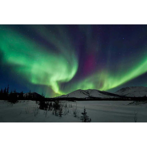 Aurora Borealis I Black Modern Wood Framed Art Print with Double Matting by Malvin, Larry