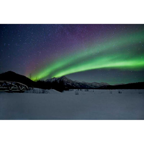 Aurora Borealis II Black Modern Wood Framed Art Print with Double Matting by Malvin, Larry