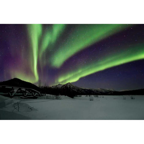 Aurora Borealis IV Black Modern Wood Framed Art Print with Double Matting by Malvin, Larry