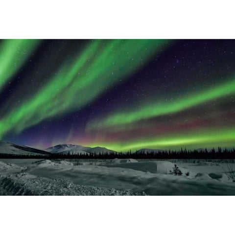 Aurora Borealis V Gold Ornate Wood Framed Art Print with Double Matting by Malvin, Larry