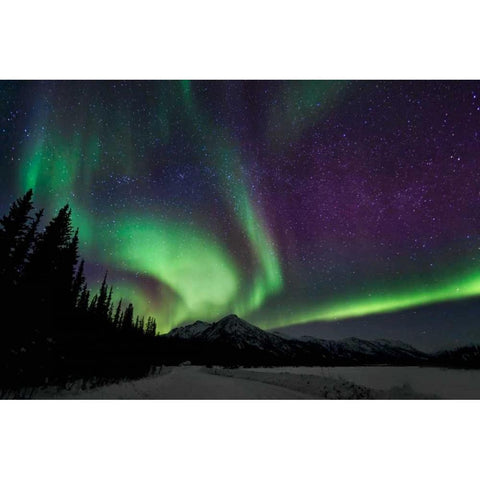 Aurora Borealis VI Black Modern Wood Framed Art Print with Double Matting by Malvin, Larry