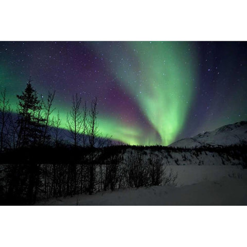 Aurora Borealis VII White Modern Wood Framed Art Print by Malvin, Larry