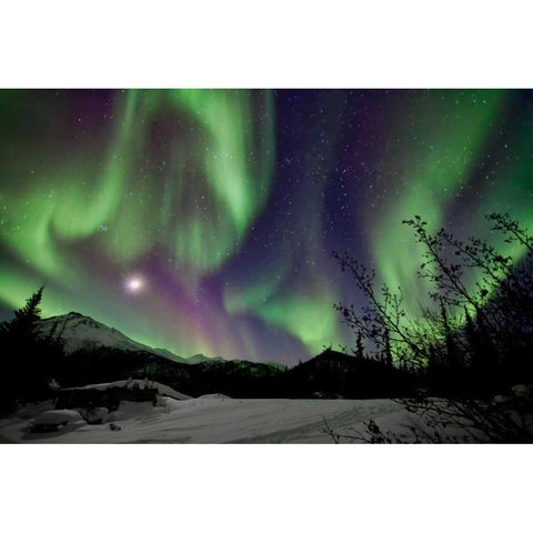 Aurora Borealis VIII Gold Ornate Wood Framed Art Print with Double Matting by Malvin, Larry