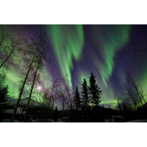 Aurora Borealis X Black Modern Wood Framed Art Print with Double Matting by Malvin, Larry