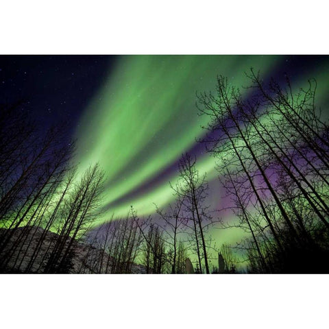 Aurora Borealis XI White Modern Wood Framed Art Print by Malvin, Larry