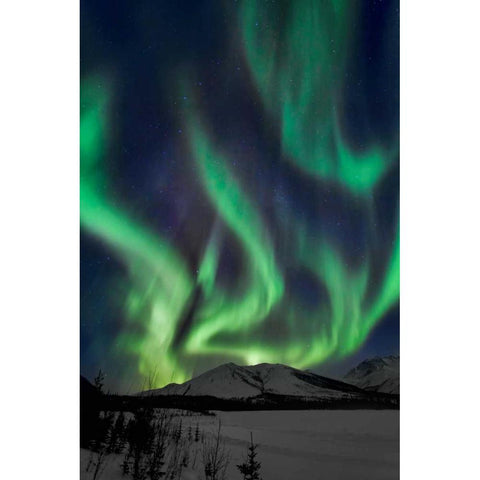 Aurora Borealis XIV Gold Ornate Wood Framed Art Print with Double Matting by Malvin, Larry