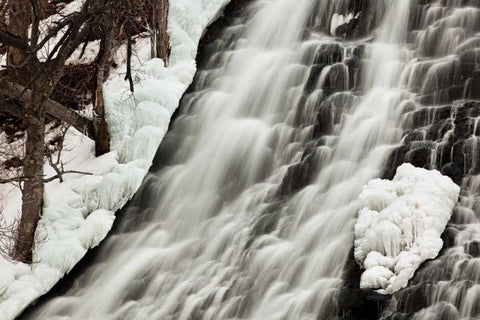 Oshinkoshin Falls I Black Ornate Wood Framed Art Print with Double Matting by Malvin, Larry