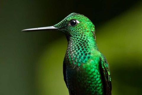 Steely Vented White Modern Wood Framed Art Print with Double Matting by Malvin, Larry