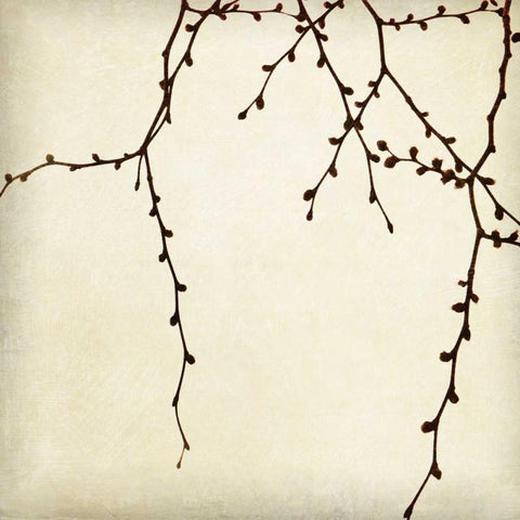 Branches II Black Modern Wood Framed Art Print by Melious, Amy