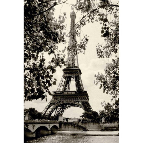 Eiffel Tower II Gold Ornate Wood Framed Art Print with Double Matting by Melious, Amy