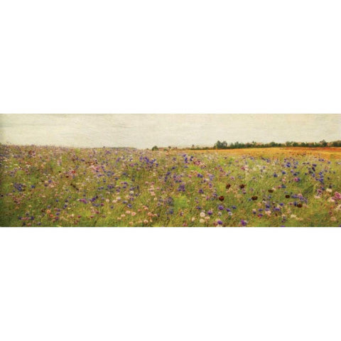 Wildflower Field I Black Modern Wood Framed Art Print with Double Matting by Melious, Amy