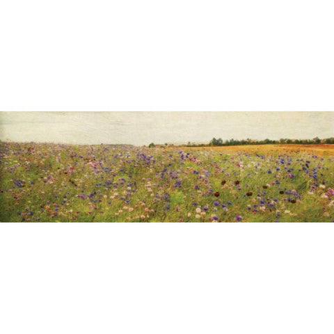 Wildflower Field I Black Modern Wood Framed Art Print by Melious, Amy