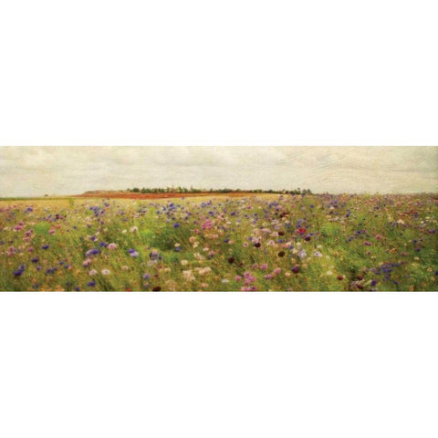 Wildflower Field II Gold Ornate Wood Framed Art Print with Double Matting by Melious, Amy