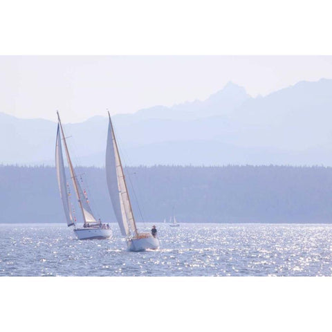 Port Townsend Boats I Gold Ornate Wood Framed Art Print with Double Matting by Mahan, Kathy