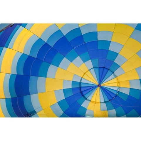 Balloon Festival II Gold Ornate Wood Framed Art Print with Double Matting by Mahan, Kathy