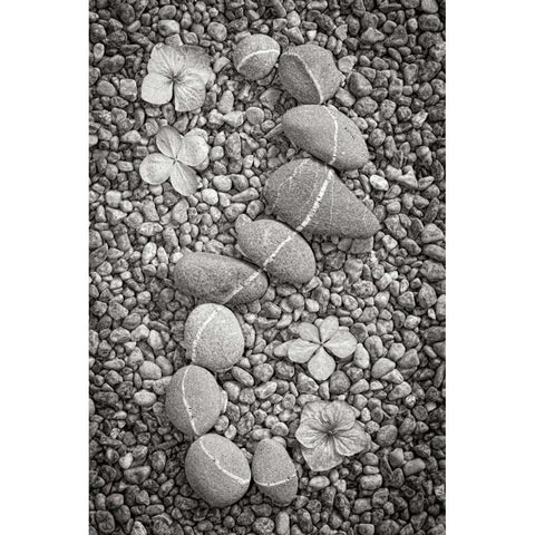 Curving Rocks I Black Modern Wood Framed Art Print with Double Matting by Mahan, Kathy