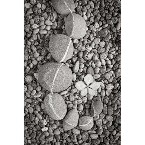 Curving Rocks II Black Modern Wood Framed Art Print with Double Matting by Mahan, Kathy