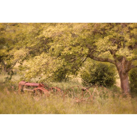 Old Tractor I White Modern Wood Framed Art Print by Mahan, Kathy