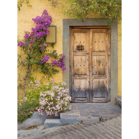 Doorway in Mexico I Black Modern Wood Framed Art Print with Double Matting by Mahan, Kathy