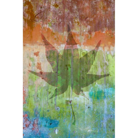 Maple Leaf I Black Modern Wood Framed Art Print with Double Matting by Mahan, Kathy