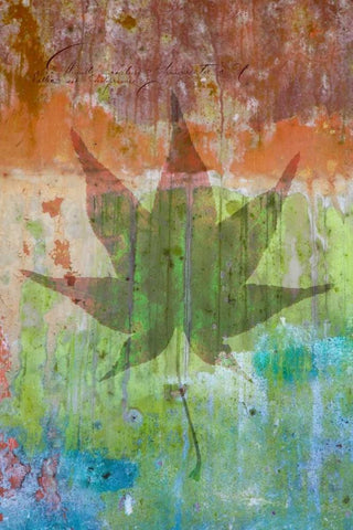 Maple Leaf I White Modern Wood Framed Art Print with Double Matting by Mahan, Kathy