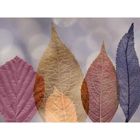 Leaf Patterns I White Modern Wood Framed Art Print by Mahan, Kathy