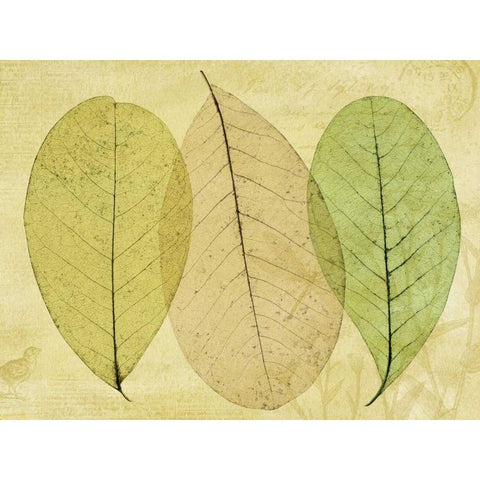 Leaf Collage II Gold Ornate Wood Framed Art Print with Double Matting by Mahan, Kathy