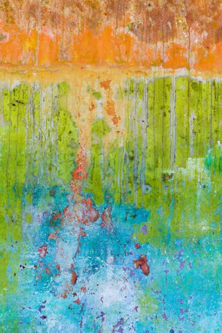 Color I Black Ornate Wood Framed Art Print with Double Matting by Mahan, Kathy