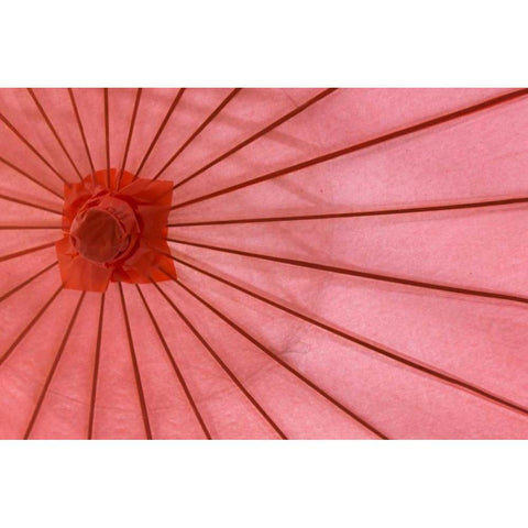 Red Umbrella Gold Ornate Wood Framed Art Print with Double Matting by Mahan, Kathy