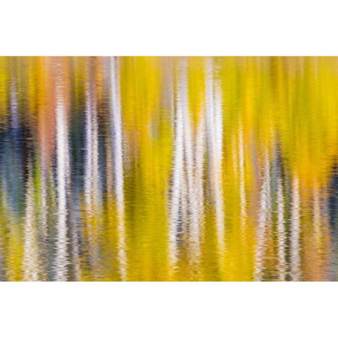 Reflections of Fall I Black Modern Wood Framed Art Print with Double Matting by Mahan, Kathy