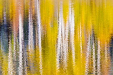 Reflections of Fall I White Modern Wood Framed Art Print with Double Matting by Mahan, Kathy