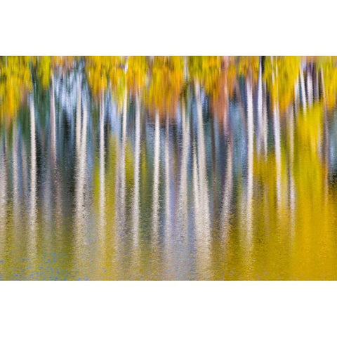 Reflections of Fall II Gold Ornate Wood Framed Art Print with Double Matting by Mahan, Kathy