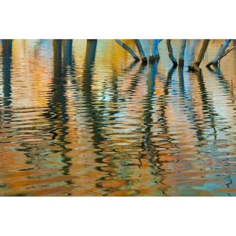 Lake Powell Reflections I Gold Ornate Wood Framed Art Print with Double Matting by Mahan, Kathy