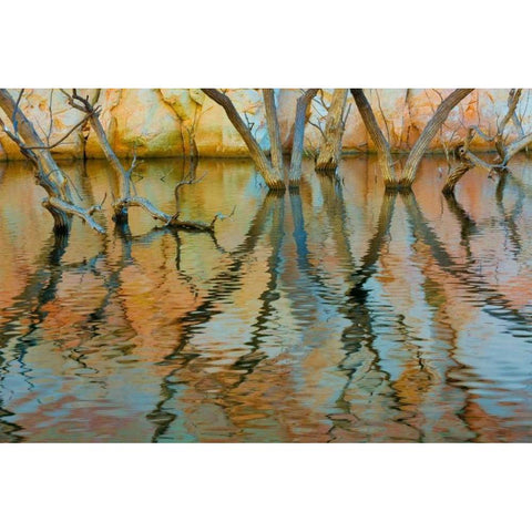 Lake Powell Reflections II White Modern Wood Framed Art Print by Mahan, Kathy