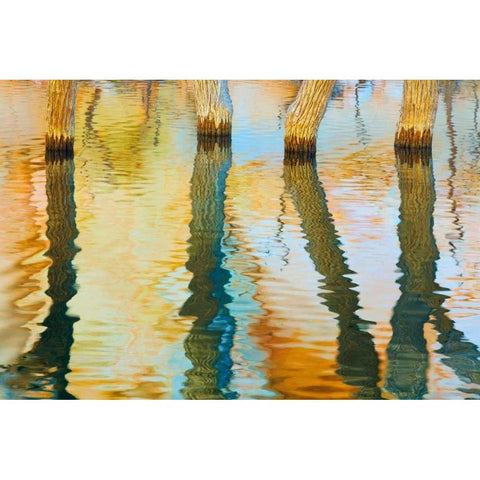 Lake Powell Reflections III Black Modern Wood Framed Art Print with Double Matting by Mahan, Kathy