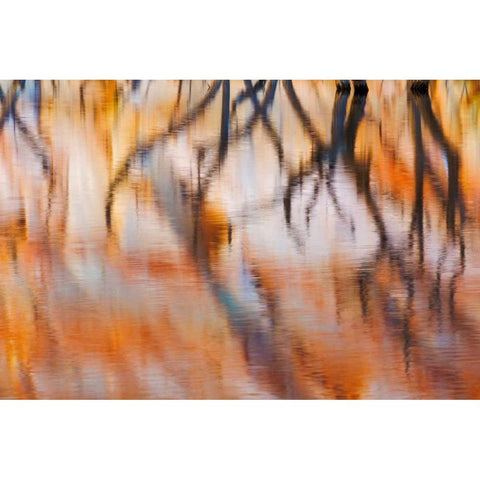 Lake Powell Reflections IV Gold Ornate Wood Framed Art Print with Double Matting by Mahan, Kathy