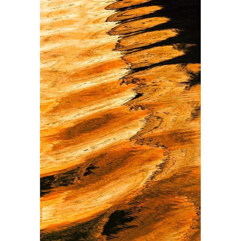 Golden Reflection II White Modern Wood Framed Art Print by Mahan, Kathy