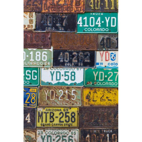 License Plates I Gold Ornate Wood Framed Art Print with Double Matting by Mahan, Kathy