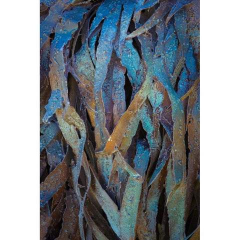 Sculptural Metal V Gold Ornate Wood Framed Art Print with Double Matting by Mahan, Kathy