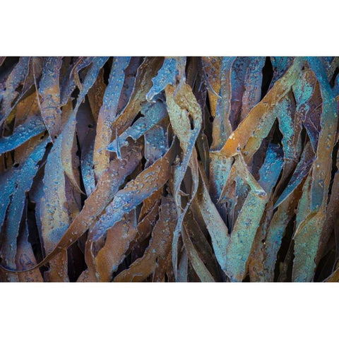 Sculptural Metal VII Gold Ornate Wood Framed Art Print with Double Matting by Mahan, Kathy