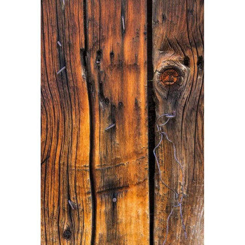 Wood Detail II Black Modern Wood Framed Art Print with Double Matting by Mahan, Kathy