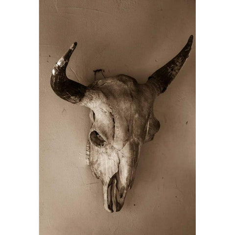 Steer Skull White Modern Wood Framed Art Print by Mahan, Kathy