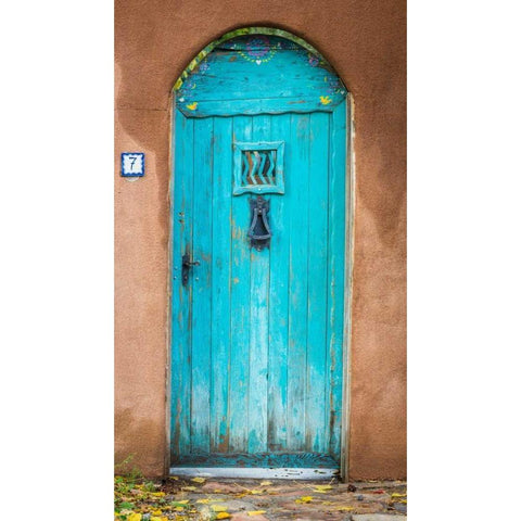Blue Door III Gold Ornate Wood Framed Art Print with Double Matting by Mahan, Kathy