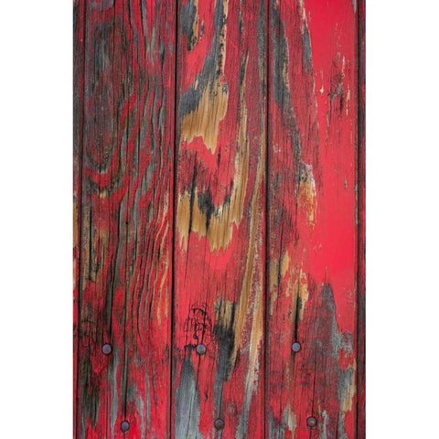 Old Paint I Black Modern Wood Framed Art Print by Mahan, Kathy