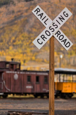 Railroad Crossing Black Ornate Wood Framed Art Print with Double Matting by Mahan, Kathy